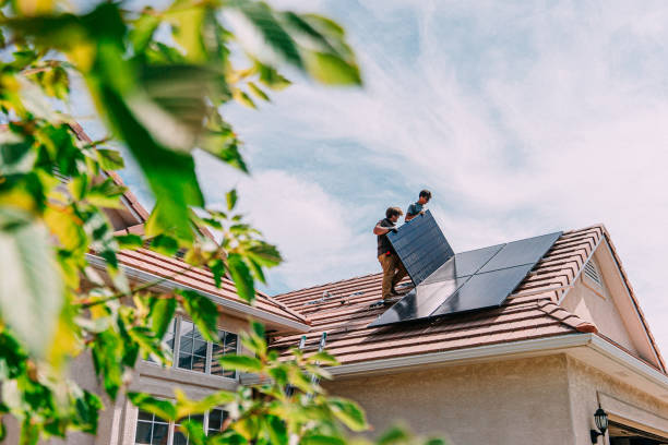 Best Roof Moss and Algae Removal  in Somerset, OH