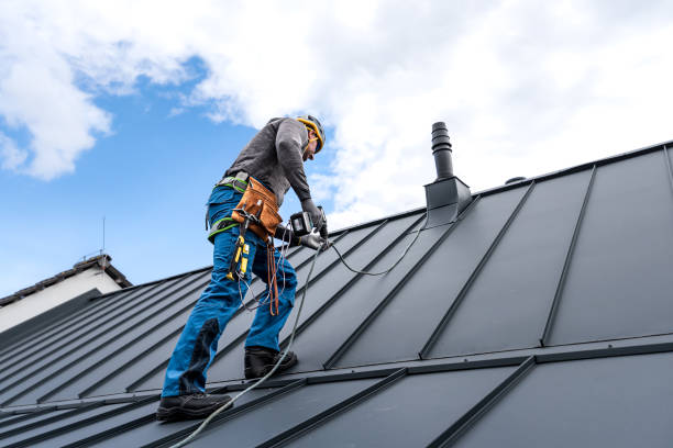 Best Sheet Metal Roofing  in Somerset, OH